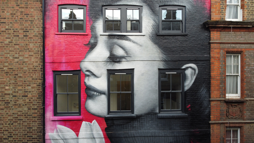 Zabou - Street Art Portrait of Audrey Hepburn