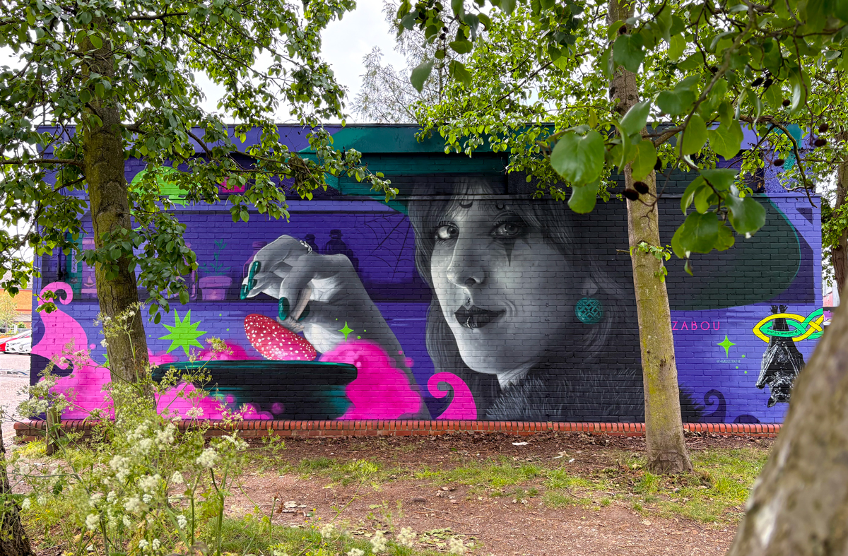 Street art mural by Zabou collaboration project in Chelmsford Street art mural by Zabou collaboration project in Chelmsford