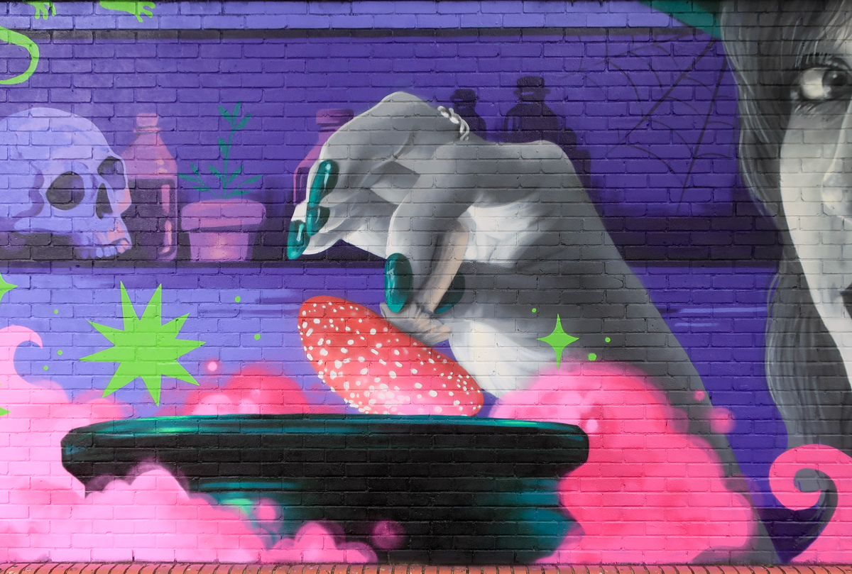 Street art mural by Zabou collaboration project in Chelmsford Street art mural by Zabou collaboration project in Chelmsford