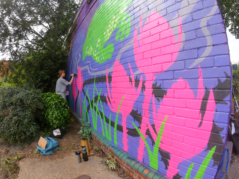 Street art mural by Zabou collaboration project in Chelmsford