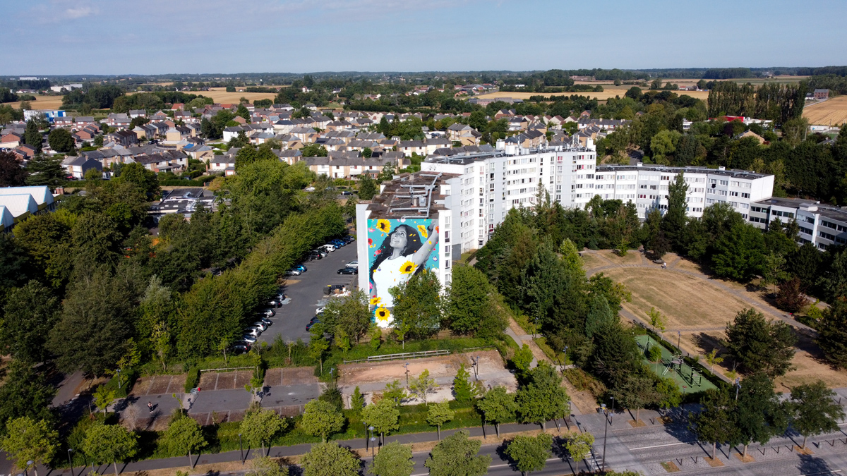 Street art by Zabou Joy mural Maubeuge France